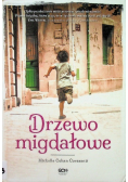 Drzewo migdałowe wydanie kieszonkowe