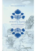 Między Beskidem Śląskim a Bieszczadami