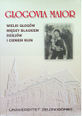 Glogovia maior wielki głogów między blaskiem dziejów i cieniem ruin