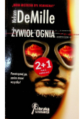 Żywioł ognia