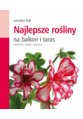 Najlepsze rośliny na balkon i taras
