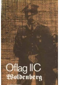 Oflag II C Woldenberg Wspomnienia jeńców