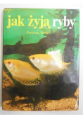 Jak żyją ryby