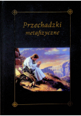 Przechadzki metafizyczne