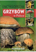 Encyklopedia grzybów w Polsce
