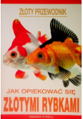Jak Opiekować Się Złotymi Rybkami