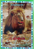 Bajki afrykańskie Zambia