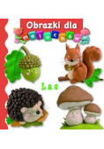 Obrazki dla maluchów - Las