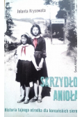 Skrzydło Anioła Dedykacja autora