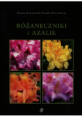 Różaneczniki i azalie