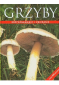 Grzyby Rozpoznawanie i zbieranie