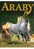 Araby Dzieci Wiatru