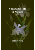 Vagabond Life in Mexico
