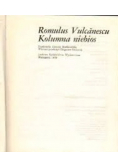 Kolumna niebios