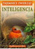 Tajemnice Zwierząt Inteligencja