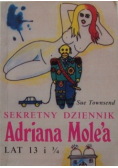 Sekretny dziennik Adriana Molea