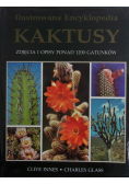 Kaktusy Zdjęcia i opisy ponad 1200 gatunków