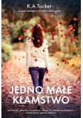 Jedno małe kłamstwo