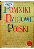 Pomniki dziejowe Polski tom V