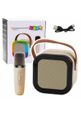 Karaoke głośnik i mikrofon K12 RGB Bluetooth