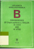 Chromosomes