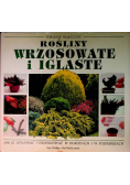 Rośliny wrzosowate i iglaste