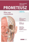 Atlas anatomii człowieka Tom 3 Głowa, szyja i neuroanatomia