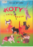 Koty i cała reszta