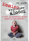 Koniec wybuchów złości