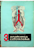 Anatomia człowieka Tom III