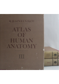 Atlas of human anatomy 3 tomy
