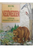 Rok z niedźwiedziem i innymi zwierzętami lasu