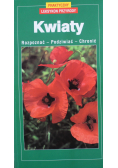 Kwiaty rozpoznać podziwiać chwalić