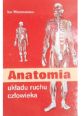 Anatomia układu ruchu człowieka