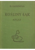 Rośliny łąk Atlas