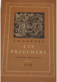 Lis Przechera