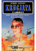 Krucjata 11 Odwet