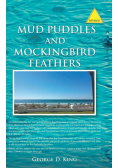 Mud Puddles and Mockingbird Feathers and the Sky Is Crying