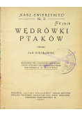 Wędrówki ptaków 1929 r