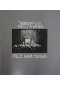 Między wami Polakami