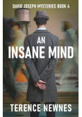 An Insane Mind