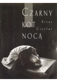 Czarny kot nocą