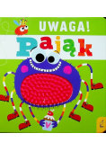 Uwaga pająk