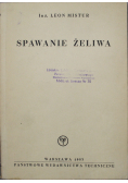 Spawanie żeliwa