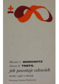 Jak powstaje człowiek