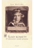 Ślad komety. O ulotności sztuki pisania