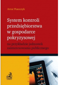 System kontroli przedsiębiorstwa w gospodarce pokryzysowej