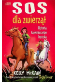 SOS dla zwierząt Historia tajemniczego kucyka