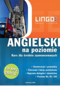 Angielski na poziomie