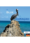 The Blue of Curacao